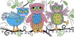 (image for) Sketchy Owls